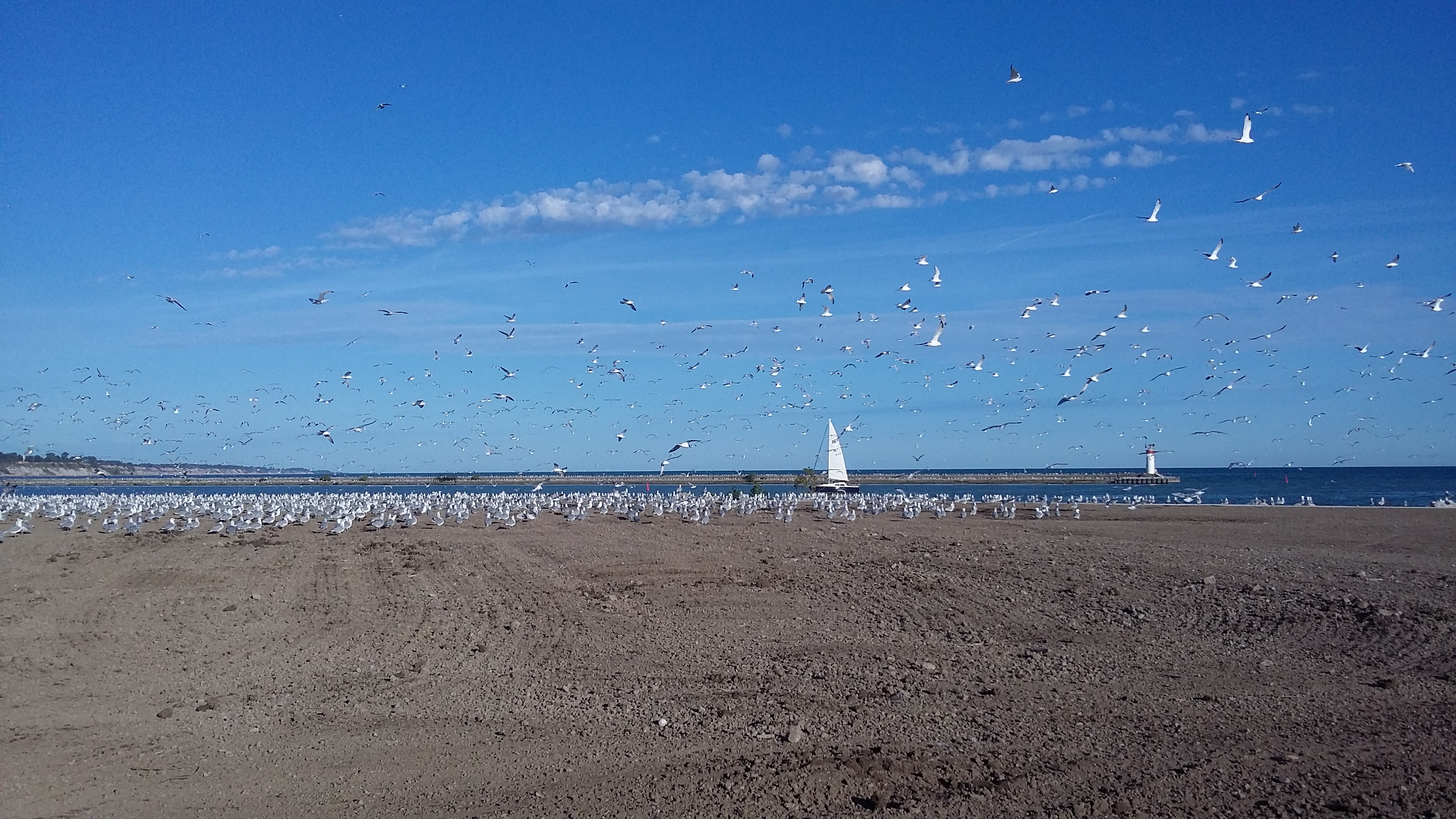 Port Stanley 6