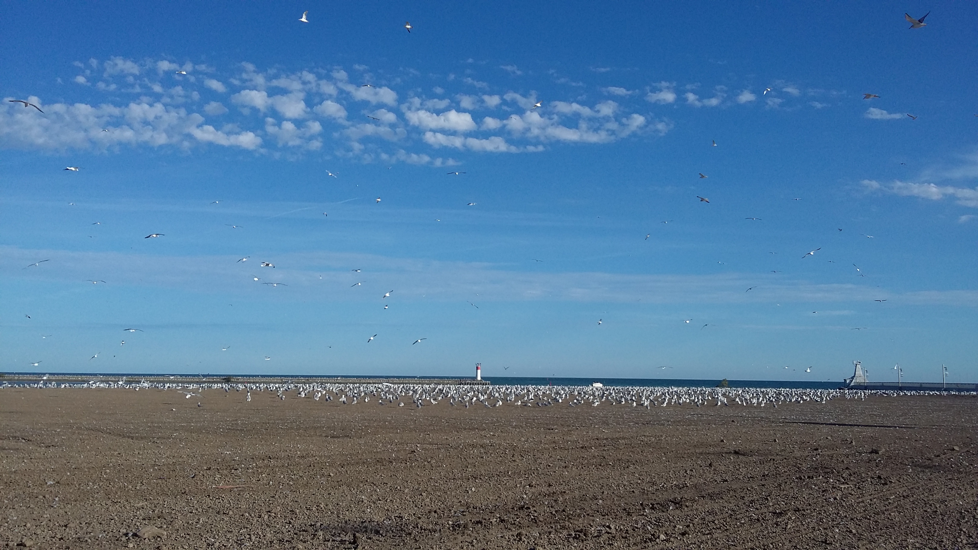Port Stanley 4