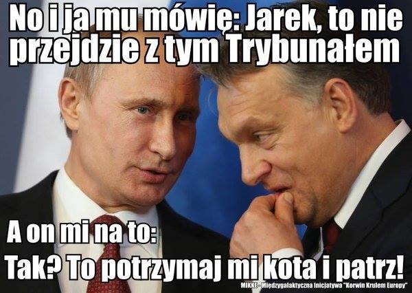 Miodzio
