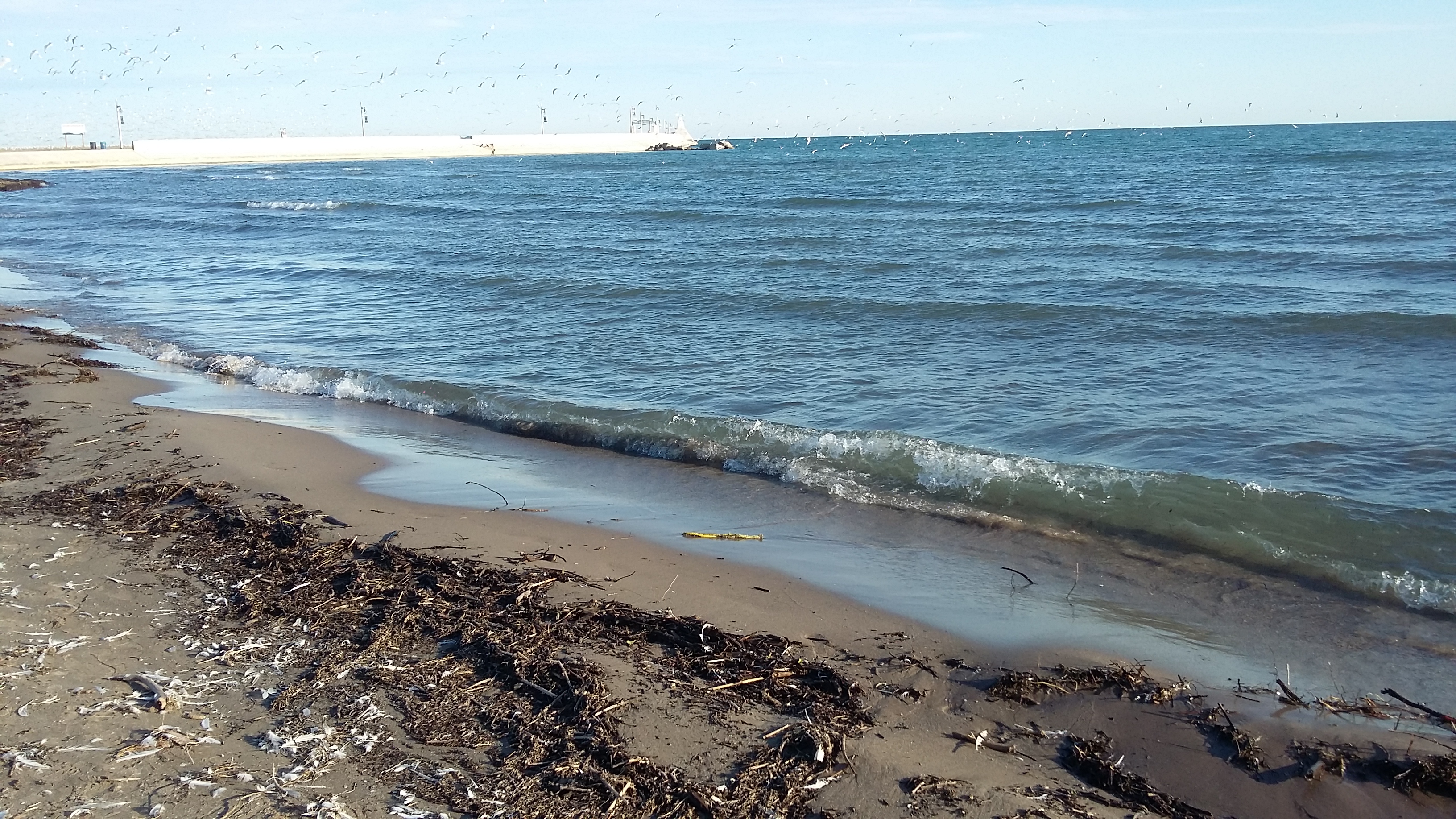 Port Stanley 7